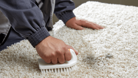 Professional Rug Cleaning Oakleigh